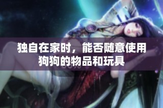 独自在家时，能否随意使用狗狗的物品和玩具