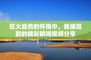 在大自然的怀抱中，我捕捉到的精彩瞬间视频分享