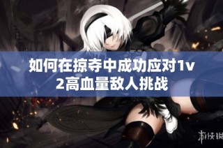 如何在掠夺中成功应对1v2高血量敌人挑战