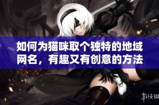如何为猫咪取个独特的地域网名，有趣又有创意的方法分享