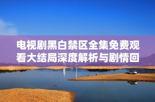 电视剧黑白禁区全集免费观看大结局深度解析与剧情回顾