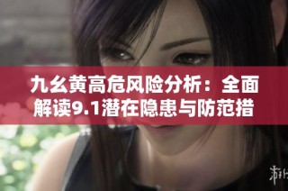 九幺黄高危风险分析：全面解读9.1潜在隐患与防范措施