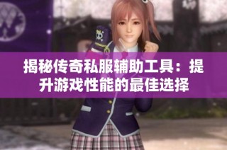 揭秘传奇私服辅助工具：提升游戏性能的最佳选择