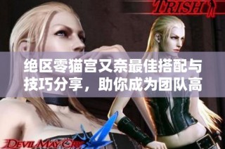 绝区零猫宫又奈最佳搭配与技巧分享，助你成为团队高手！