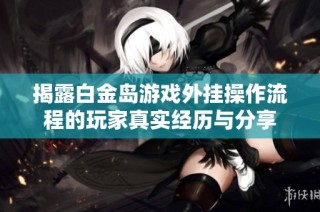 揭露白金岛游戏外挂操作流程的玩家真实经历与分享