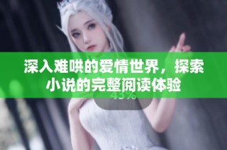 深入难哄的爱情世界，探索小说的完整阅读体验
