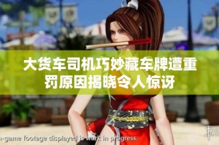 大货车司机巧妙藏车牌遭重罚原因揭晓令人惊讶