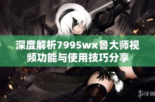 深度解析7995wx鲁大师视频功能与使用技巧分享