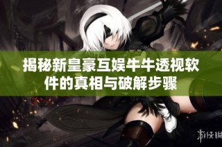 揭秘新皇豪互娱牛牛透视软件的真相与破解步骤
