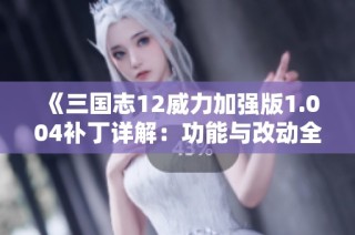 《三国志12威力加强版1.004补丁详解：功能与改动全解析》