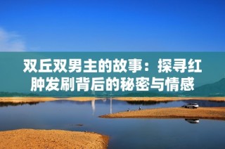 双丘双男主的故事：探寻红肿发刷背后的秘密与情感