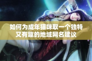 如何为成年猫咪取一个独特又有趣的地域网名建议