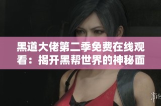 黑道大佬第二季免费在线观看：揭开黑帮世界的神秘面纱