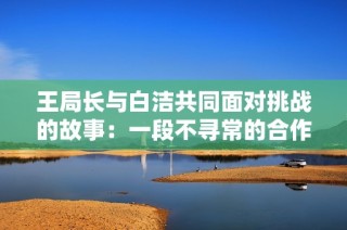 王局长与白洁共同面对挑战的故事：一段不寻常的合作经历