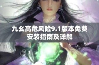 九幺高危风险9.1版本免费安装指南及详解