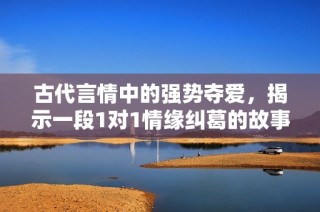 古代言情中的强势夺爱，揭示一段1对1情缘纠葛的故事