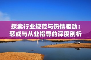 探索行业规范与热情驱动：惩戒与从业指导的深度剖析