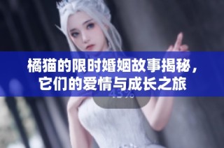 橘猫的限时婚姻故事揭秘，它们的爱情与成长之旅