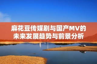 麻花豆传媒剧与国产MV的未来发展趋势与前景分析