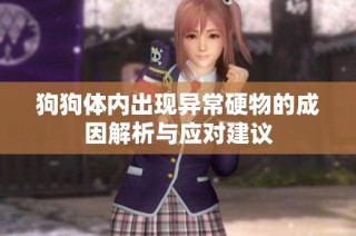 狗狗体内出现异常硬物的成因解析与应对建议