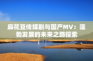 麻花豆传媒剧与国产MV：蓬勃发展的未来之路探索