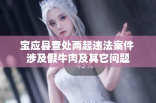 宝应县查处两起违法案件 涉及假牛肉及其它问题