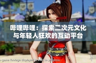 哔哩哔哩：探索二次元文化与年轻人狂欢的互动平台