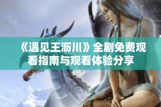 《遇见王沥川》全剧免费观看指南与观看体验分享