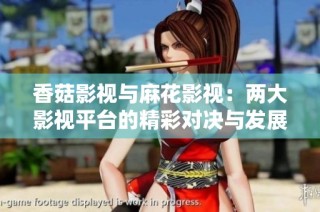 香菇影视与麻花影视：两大影视平台的精彩对决与发展探讨