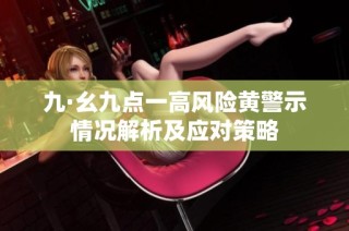 九·幺九点一高风险黄警示情况解析及应对策略