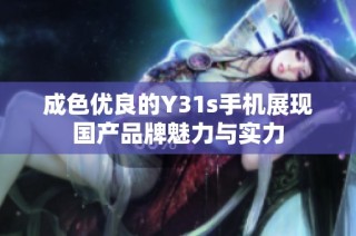 成色优良的Y31s手机展现国产品牌魅力与实力