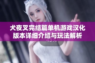 犬夜叉完结篇单机游戏汉化版本详细介绍与玩法解析