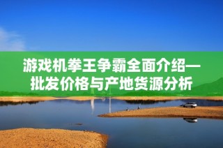 游戏机拳王争霸全面介绍—批发价格与产地货源分析