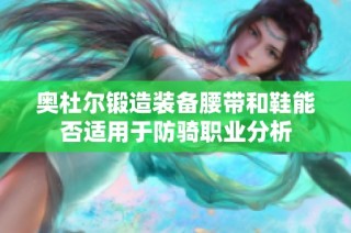 奥杜尔锻造装备腰带和鞋能否适用于防骑职业分析