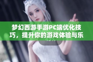 梦幻西游手游PC端优化技巧，提升你的游戏体验与乐趣