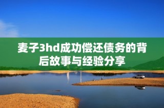 麦子3hd成功偿还债务的背后故事与经验分享