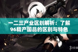 一二三产业区划解析：了解96精产国品的区别与特色
