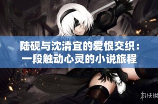 陆砚与沈清宜的爱恨交织：一段触动心灵的小说旅程