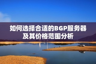 如何选择合适的BGP服务器及其价格范围分析