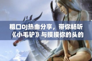 粗口DJ热曲分享，带你畅听《小毛驴》与摸摸你的头的独特魅力