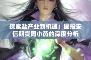 探索盐产业新机遇：国投安信期货周小燕的深度分析