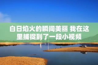 白日焰火的瞬间美丽 我在这里捕捉到了一段小视频