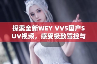 探索全新WEY VV5国产SUV视频，感受极致驾控与领先科技