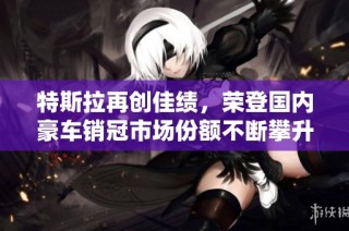 特斯拉再创佳绩，荣登国内豪车销冠市场份额不断攀升