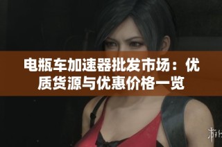 电瓶车加速器批发市场：优质货源与优惠价格一览