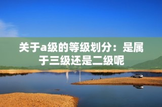 关于a级的等级划分：是属于三级还是二级呢