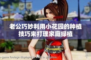 老公巧妙利用小花园的种植技巧来打理家庭绿植