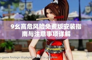 9幺高危风险免费版安装指南与注意事项详解