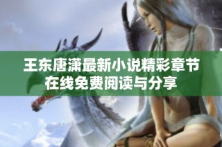 王东唐潇最新小说精彩章节在线免费阅读与分享
