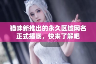 猫咪新推出的永久区域网名正式揭晓，快来了解吧